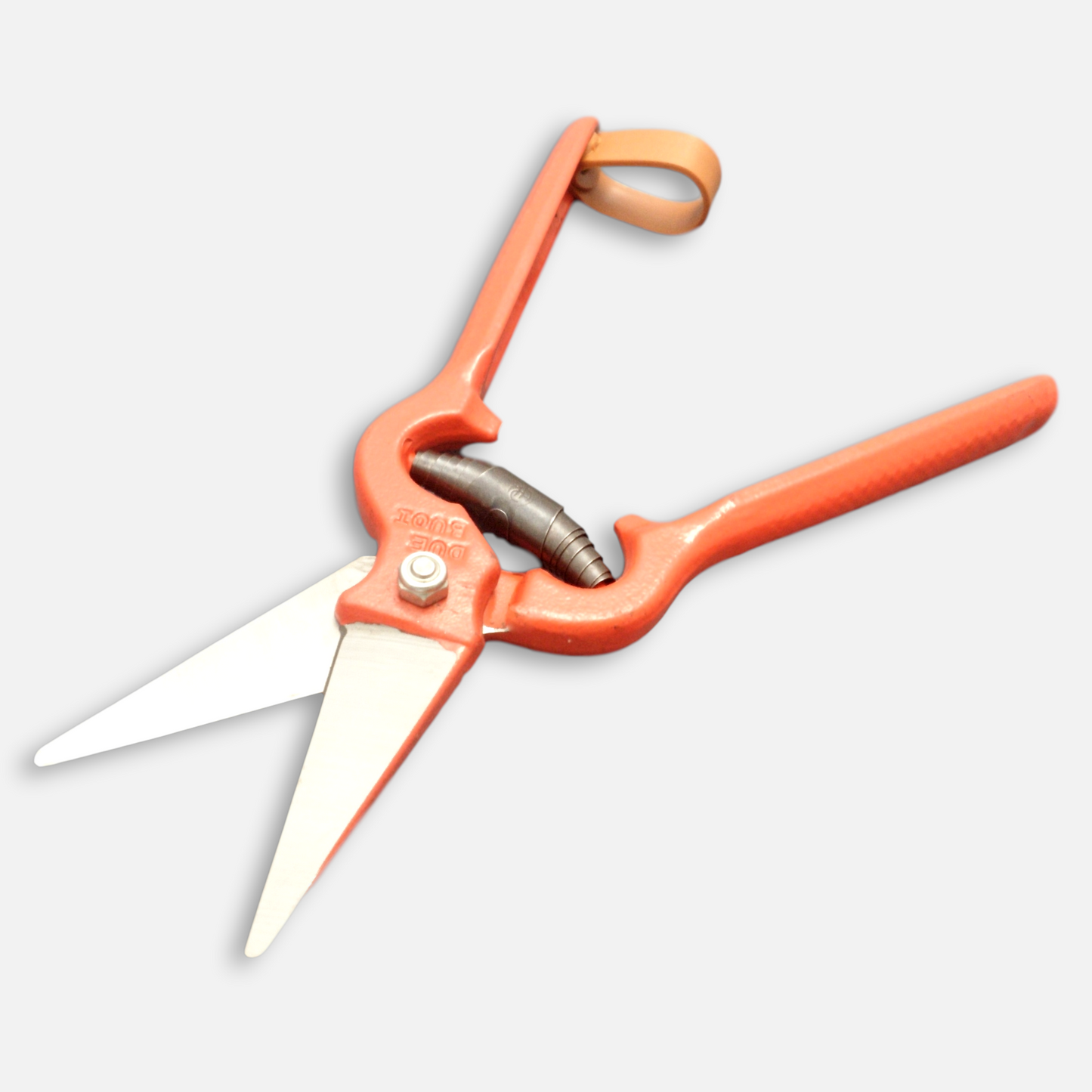 
                  
                    DUE BUOI FORGED FOOT ROT SHEARS 164/25
                  
                