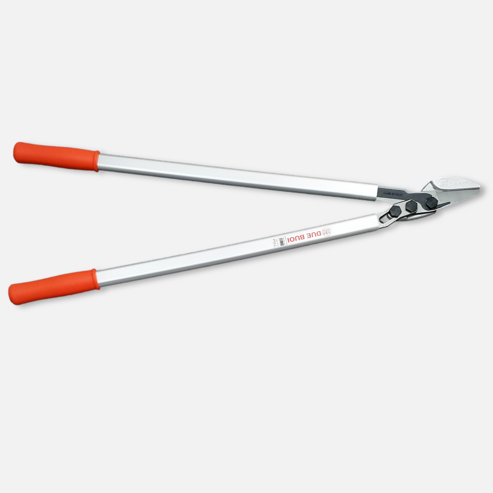 
                  
                    KIT OF PRUNING SAW RS210/30 - LOPPER 173/80
                  
                