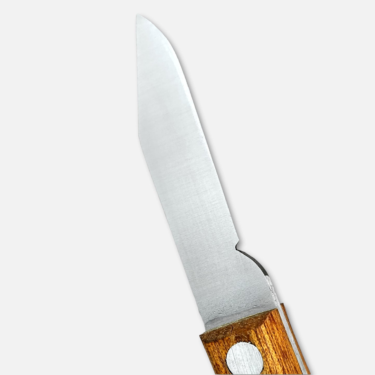 
                  
                    211L FX - FIXED Blade Grafting Knife with Wood Handle and Carbon Steel Blade
                  
                