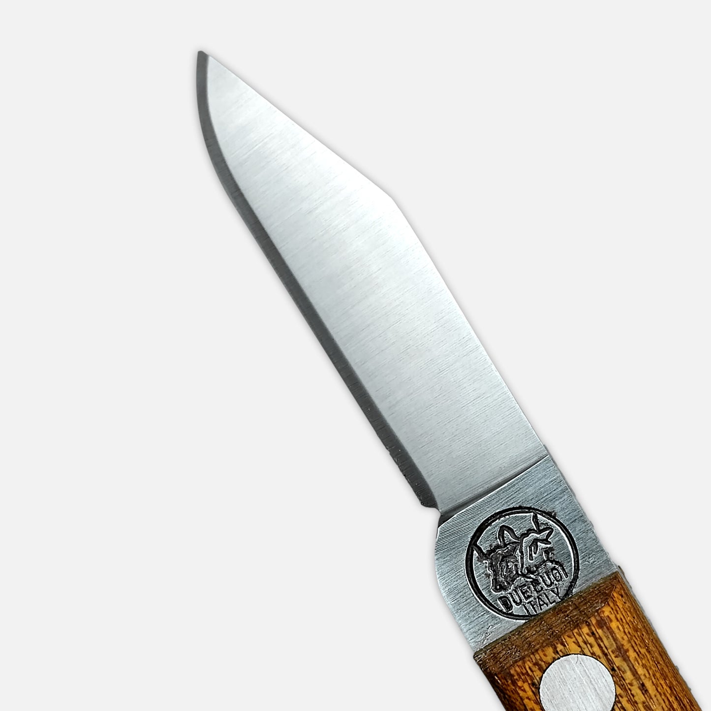 
                  
                    211L FX - FIXED Blade Grafting Knife with Wood Handle and Carbon Steel Blade
                  
                