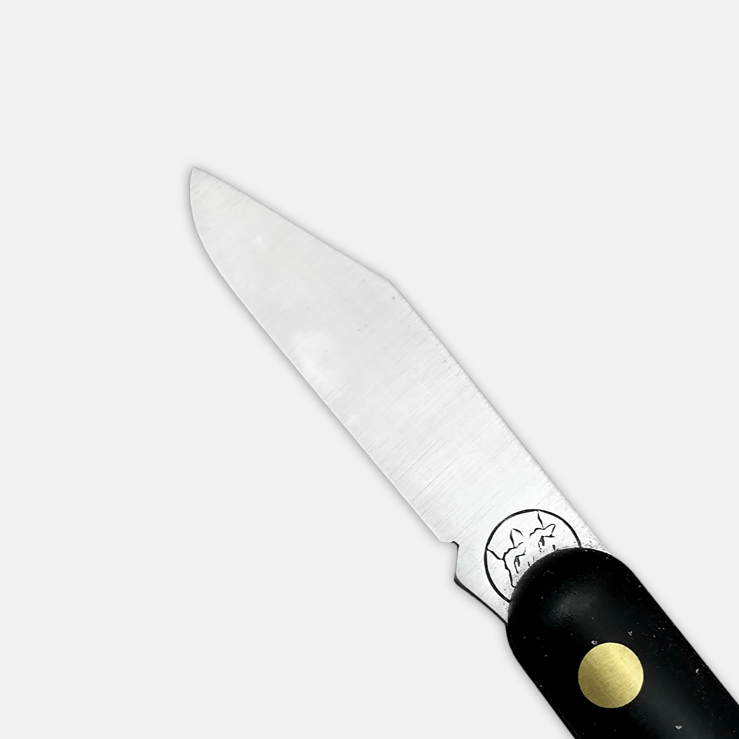 
                  
                    DUE BUOI 211 SU.SI. Lefty - Professional Agriculture Pruning Grafting Knife for Budding Trimming - Carbon Steel Blade
                  
                