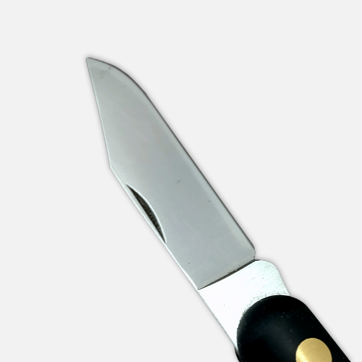 
                  
                    DUE BUOI 211 SU.SI. SP OT Lefty - Professional Agriculture Pruning Grafting Knife for Budding Trimming - Carbon Steel Blade
                  
                