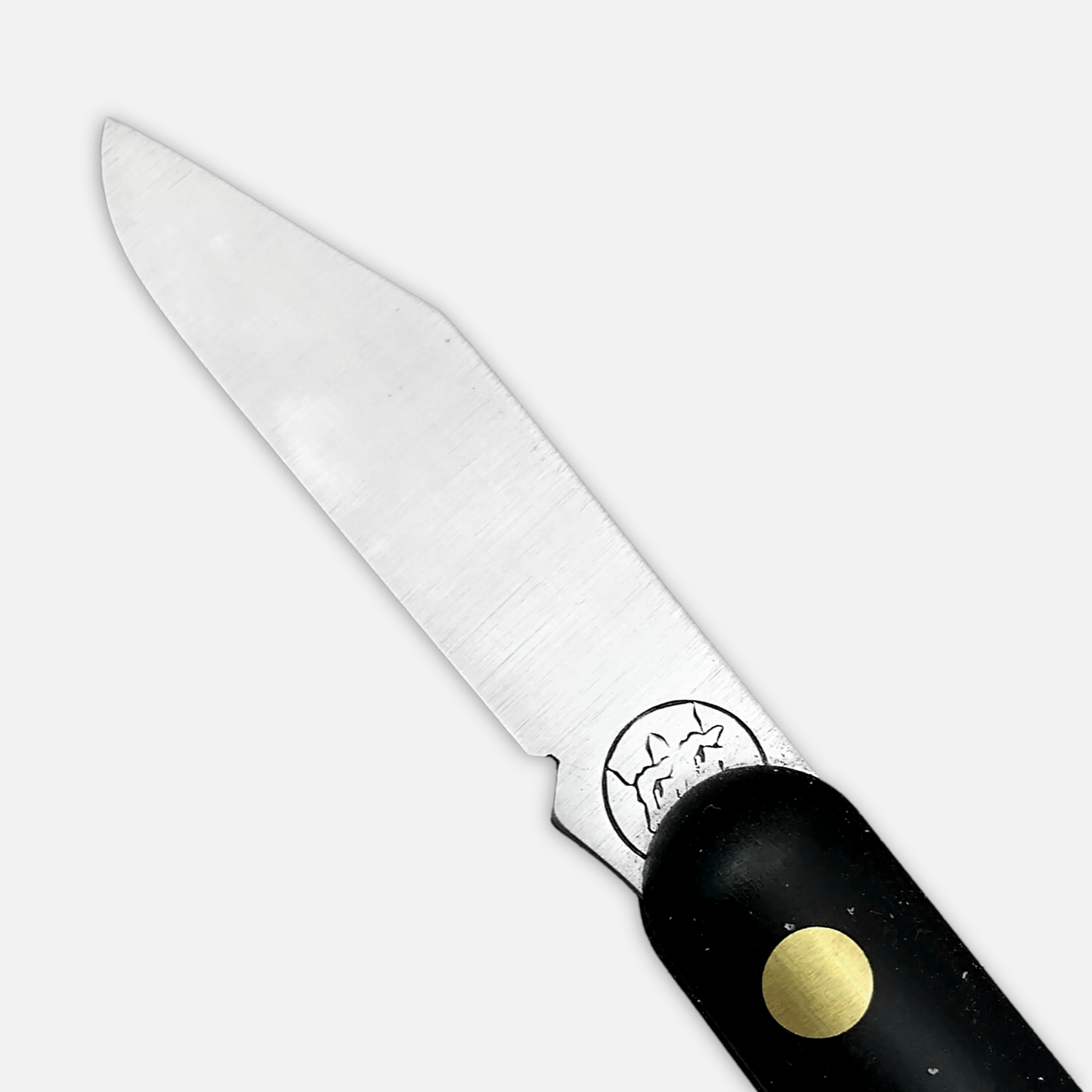 
                  
                    DUE BUOI 211 SU.SI. SP OT Lefty - Professional Agriculture Pruning Grafting Knife for Budding Trimming - Carbon Steel Blade
                  
                