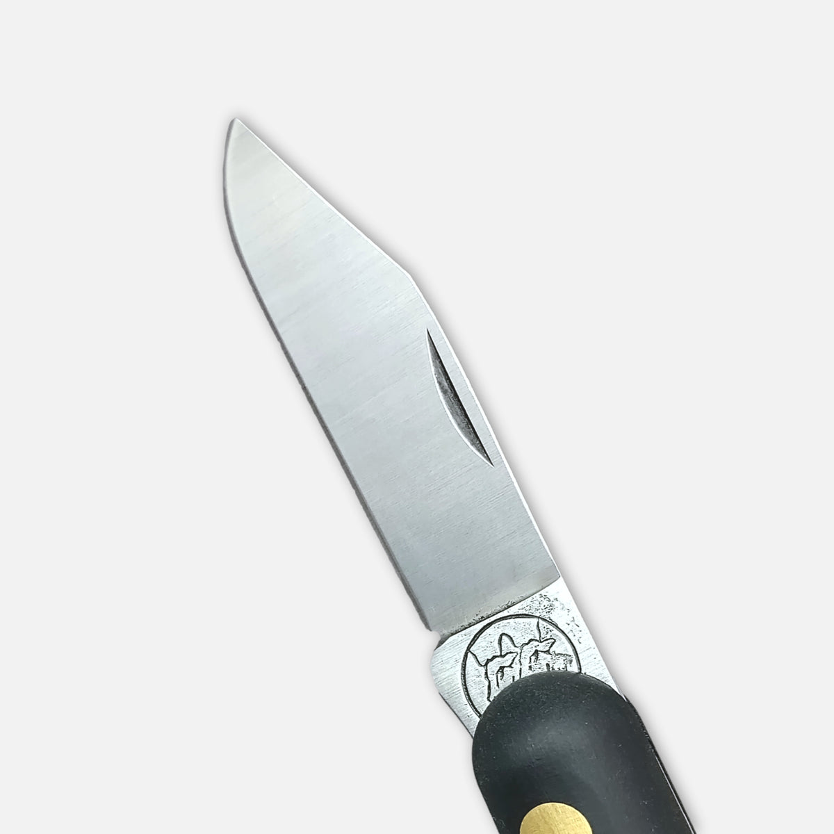 Due Buoi Grafting Knife 202c Sp Ot - Buffalo Handle - Böhler N690