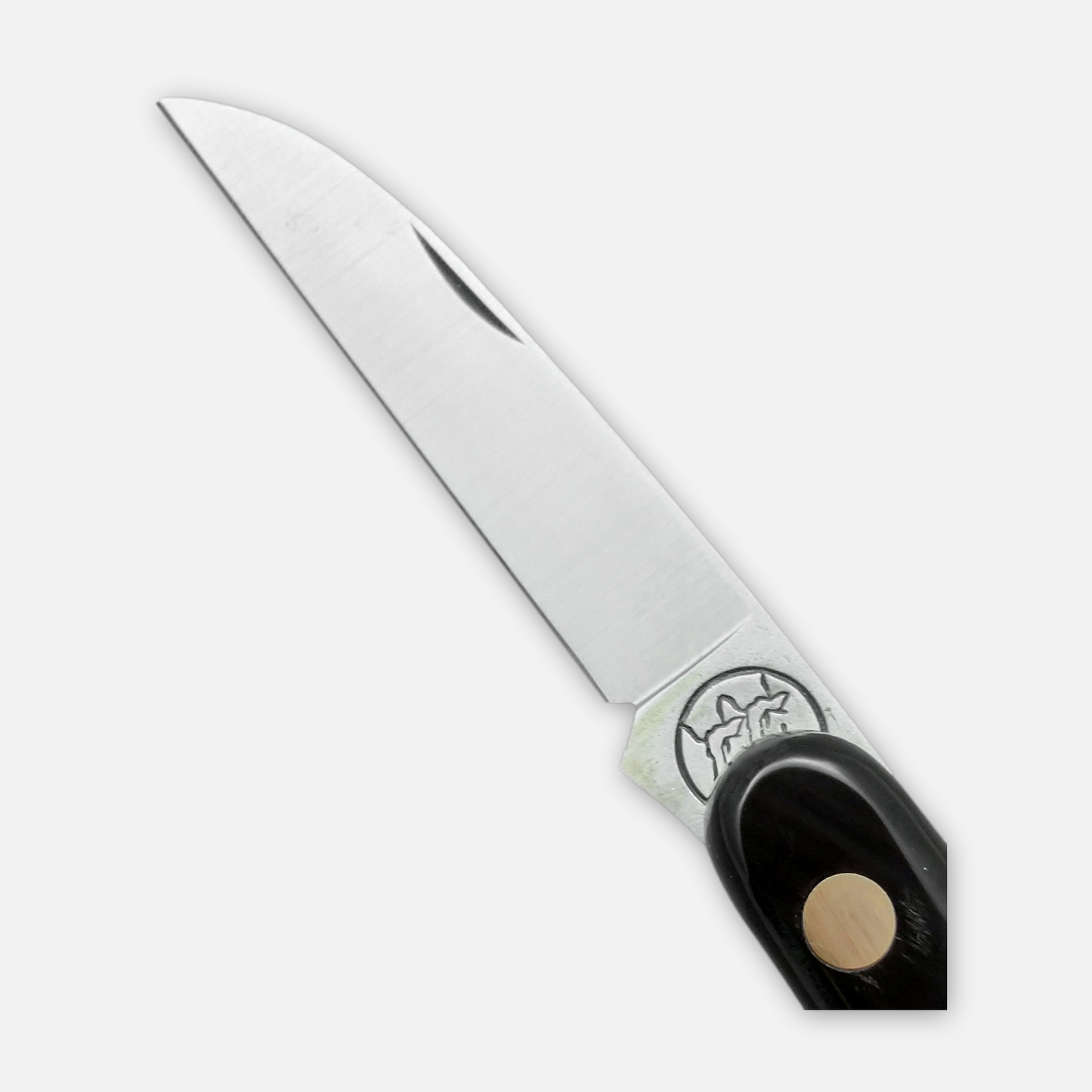 
                  
                    GRAFTING KNIFE 224C
                  
                