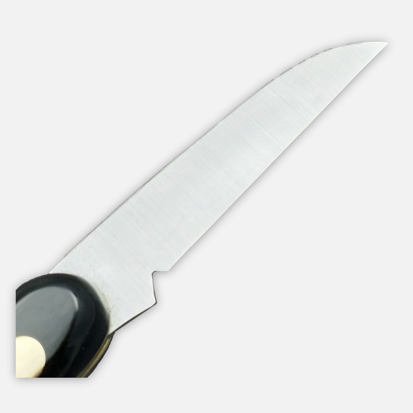 
                  
                    GRAFTING KNIFE 224C
                  
                