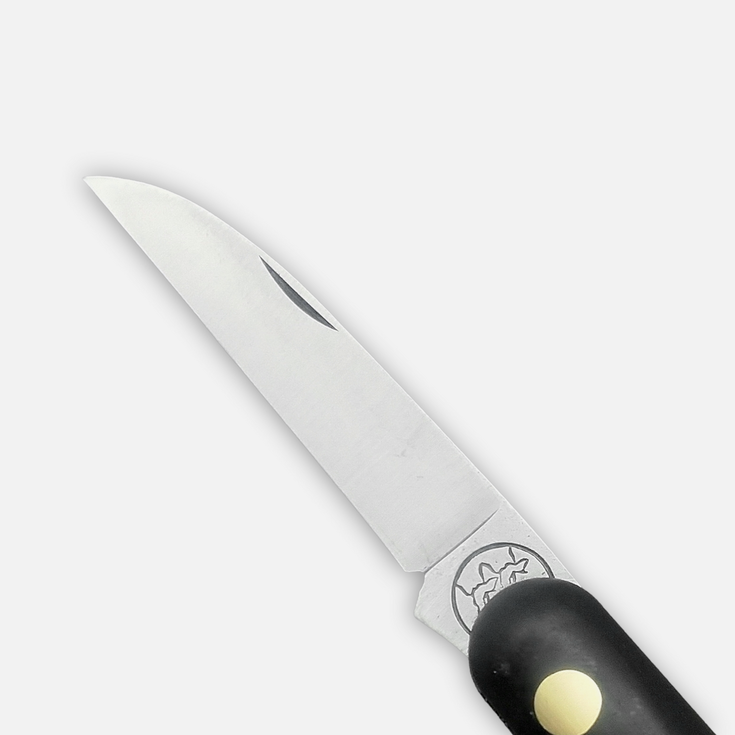 
                  
                    DUE BUOI 224 SU.SI. - Professional Agriculture Pruning Grafting Knife for Budding Trimming - Stainless Steel Blade
                  
                
