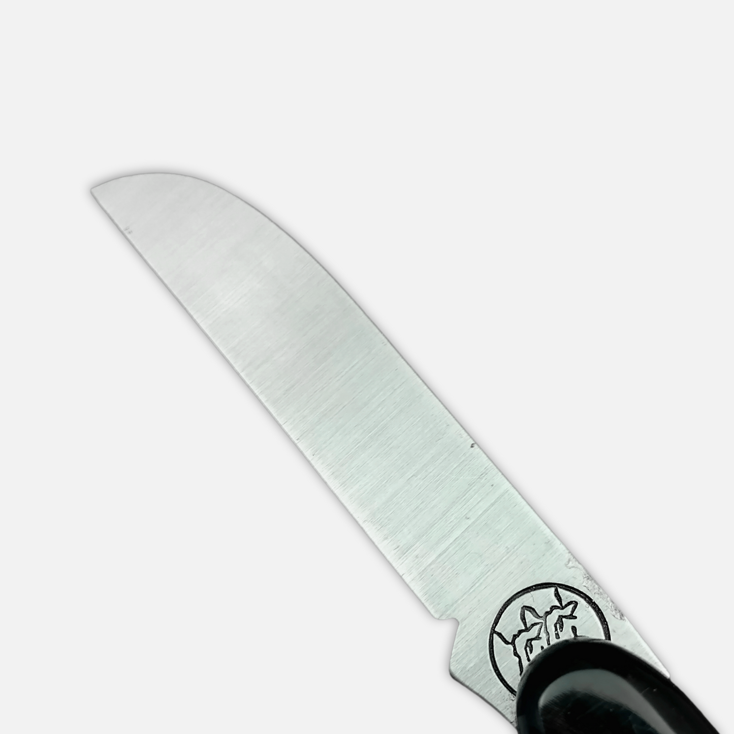 
                  
                    DUE BUOI 228C Lefty - Professional Agriculture Pruning Grafting Knife for Budding Trimming - Carbon Steel Blade
                  
                