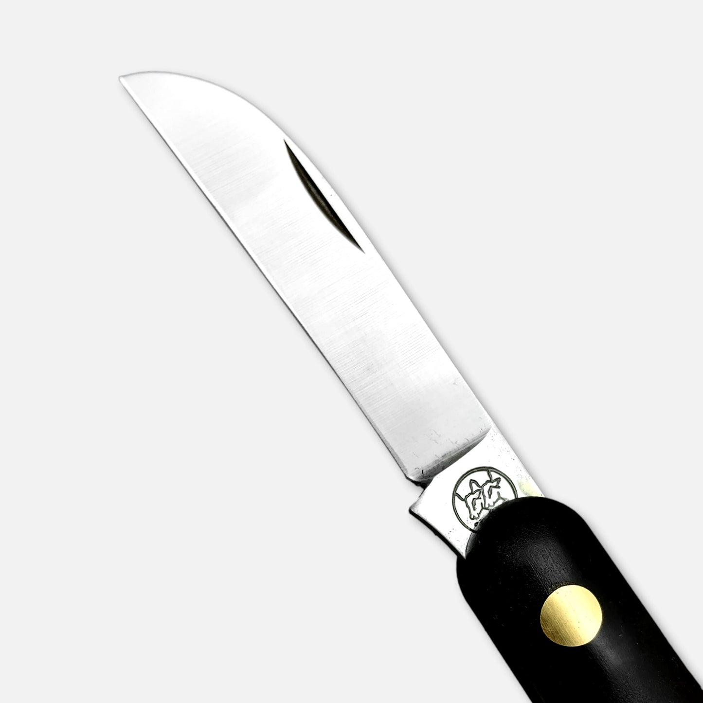 
                  
                    228 SuSi SUPER SIMPLY - CARBON STEEL - Pruning Grafting Tool with reinforced nylon handle
                  
                