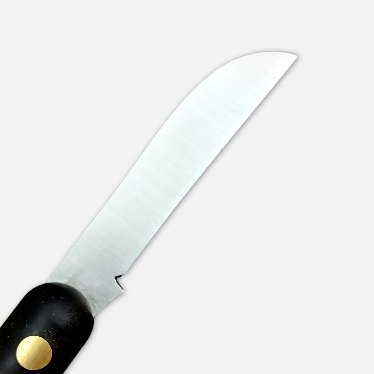 
                  
                    228 SuSi SUPER SIMPLY - CARBON STEEL - Pruning Grafting Tool with reinforced nylon handle
                  
                