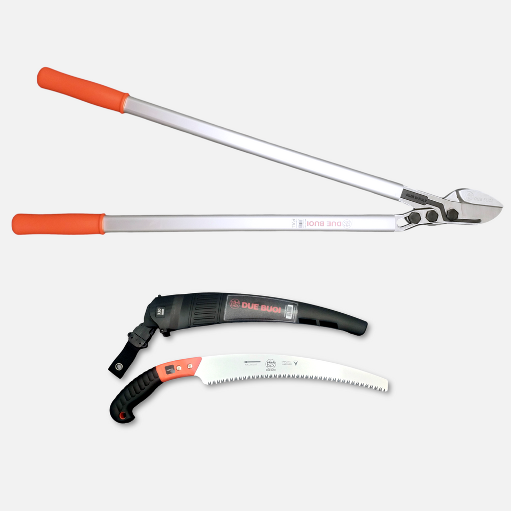 KIT OF PRUNING SAW RS210/33 - LOPPER 170/80