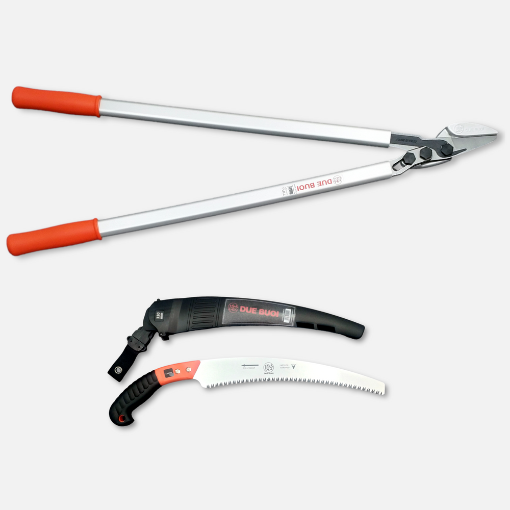 KIT OF PRUNING SAW RS210/33 - LOPPER 173/80