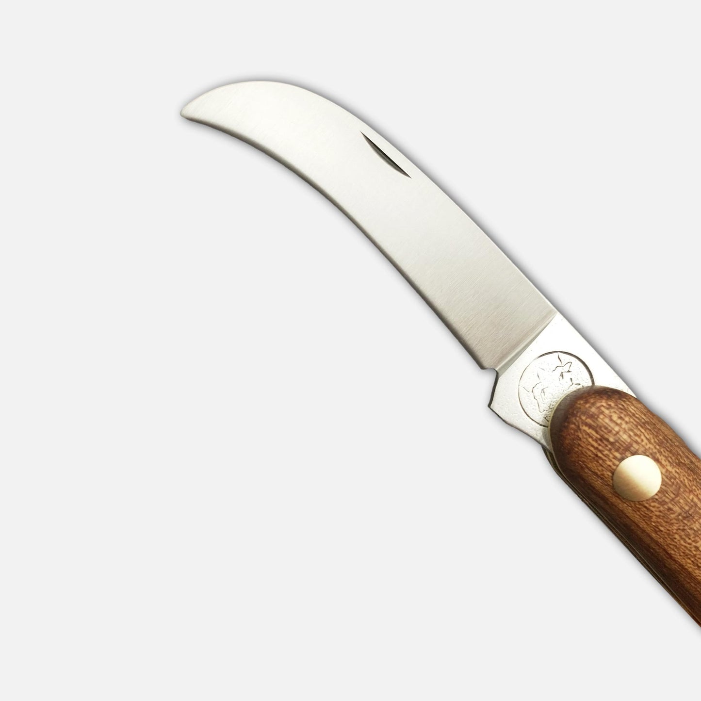 
                  
                    CUCHILLO DE injerto 247 L - ACERO INOXIDABLE BÖHLER N690
                  
                