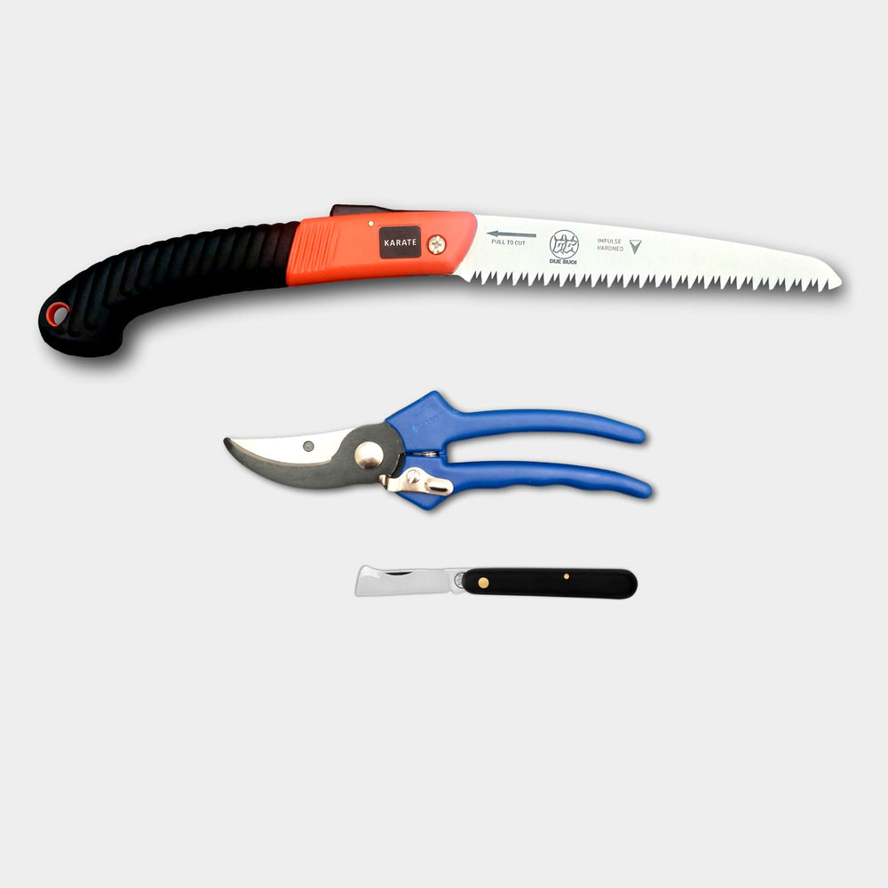 
                  
                    KIT OF PLASTIC HANDLE PRUNER 149/22 - FOLDING SAW RS180/18 - GRAFTING TOOL 202 SU.SI.
                  
                