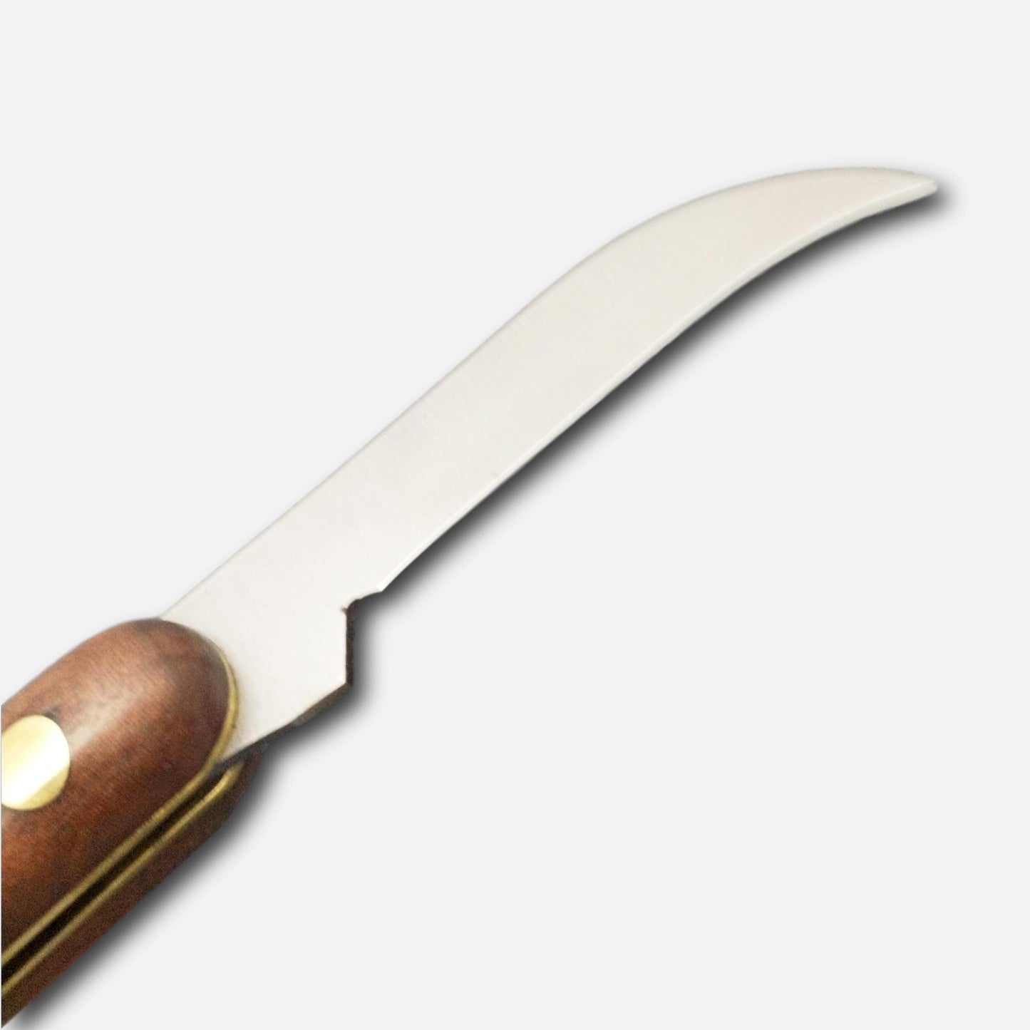 
                  
                    Cuchillo de injertar 247 L
                  
                